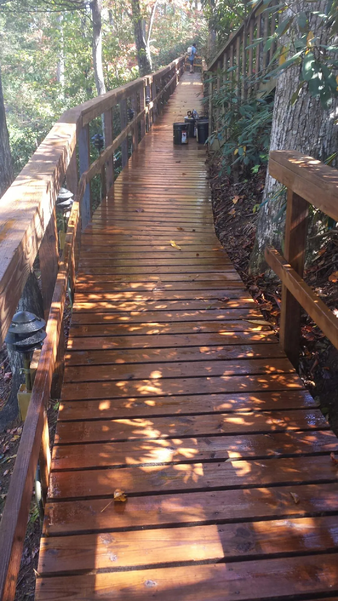 Freshly stained wood walkway winding through the woods in Clayton